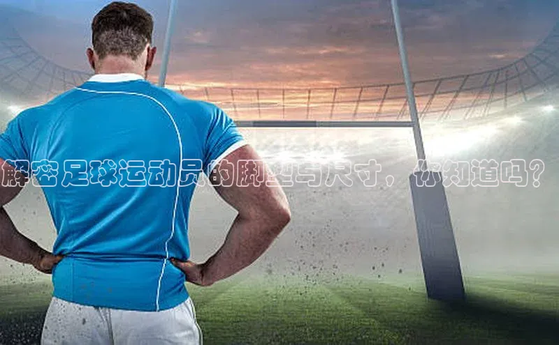 新宝登录app入口手机版百家号