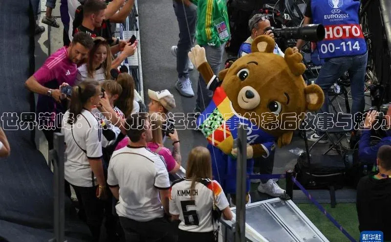 新宝gg官网登录梯哥哥科技