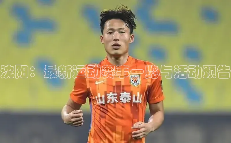 新宝gg在线注册