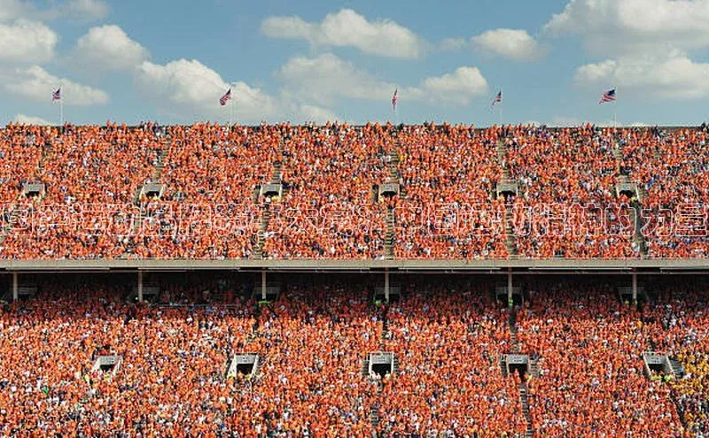 新宝登录app入口手机版