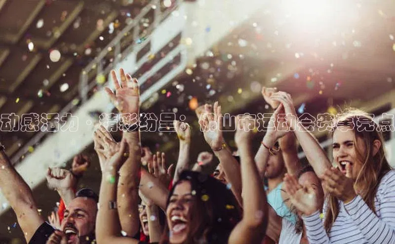 新宝gg平台注册