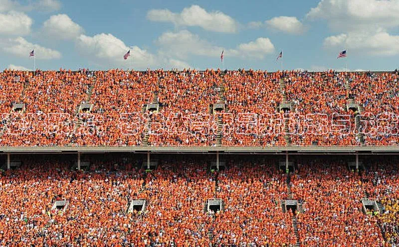 新宝gg开户登录