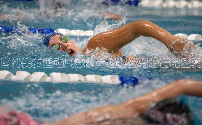 新宝gg一键登录